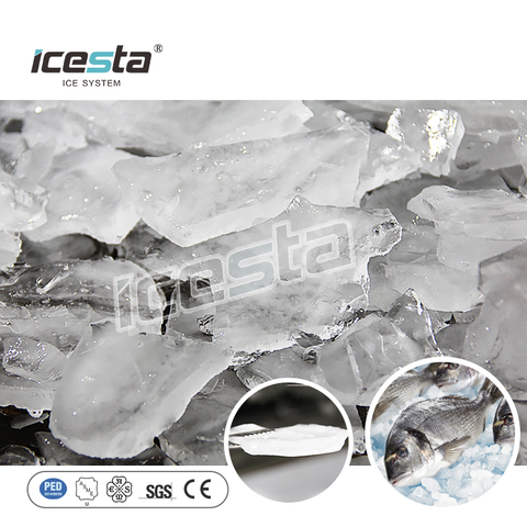 Máquina de hielo en placa automática de alta calidad ICESTA 30 Ton 304SS