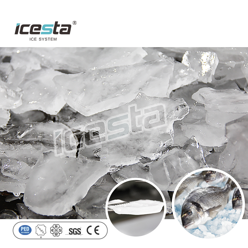 Máquina de hielo en placa automática de alta calidad ICESTA 30 Ton 304SS