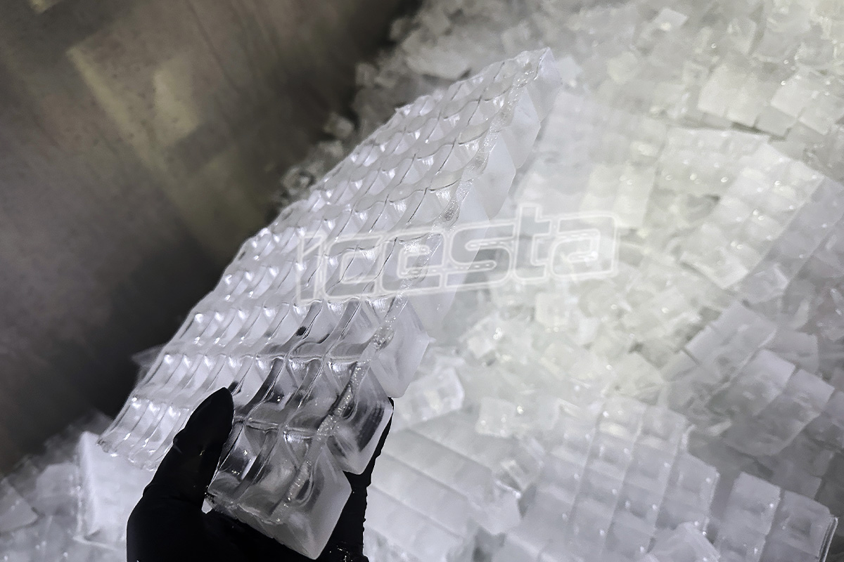 ¿Cuáles son los diferentes tipos de hielo y cómo utilizarlos?