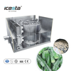 Máquina de congelador industrial de espiral individual, fabricante de ICesta, alta capacidad, alta eficiencia, automática, baja temperatura