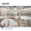 ICESTA CONTENTERIZADO 40 toneladas de planta de hielo automático industrial con sistema de hielo de rastrillo para la estación hidroeléctrica de vertido de concreto $ 170000