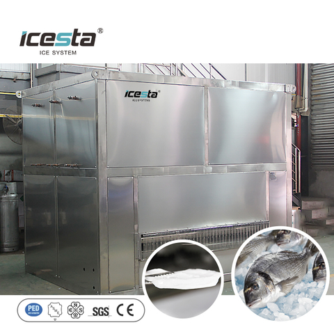 ICESTA Máquina de hielo con placa de acero inoxidable con control PLC de alta calidad de 10 toneladas
