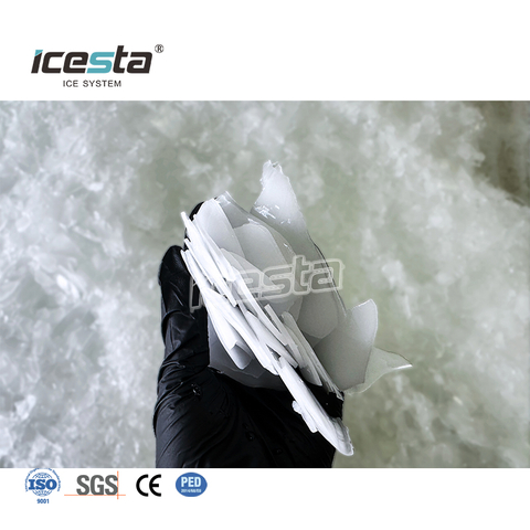 ICESTA 5t 10t 15 toneladas por día Máquina de hielo en escamas industrial