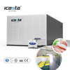 Icesta Industrial Double Spiral Freezer para camarones de mariscos, tecnología de congelación rápida y alta confiable 