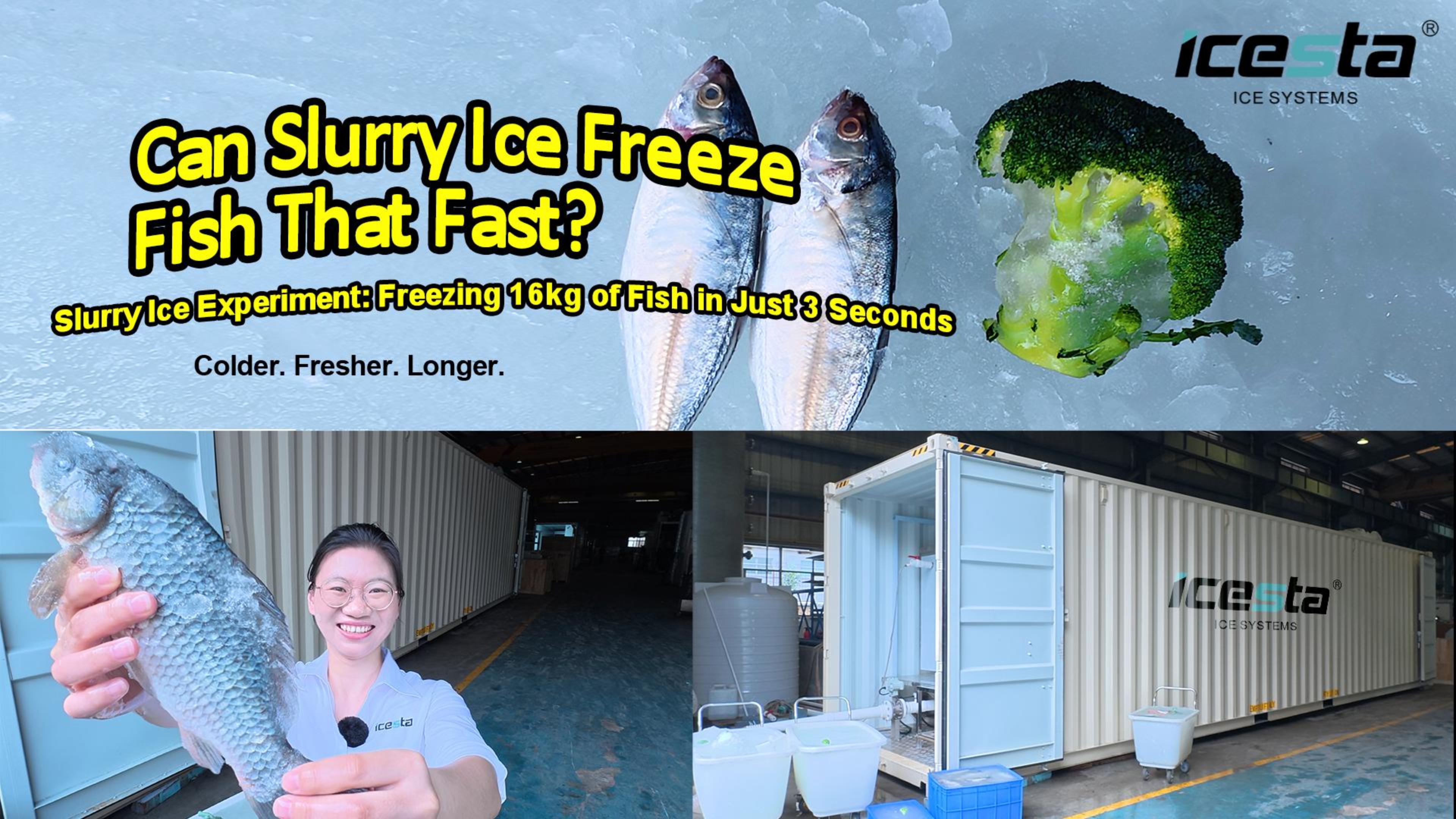 Prueba de campo de la máquina de hielo en suspensión: ¿A qué velocidad se pueden envolver y enfriar 16 kg de pescado vivo a 32 °C? | Experimento de máquina de hielo en suspensión en contenedores de 10 toneladas ICESTA