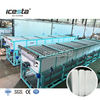 ICESTA Factory Direct Block Ice Maker con trituradora Venta caliente