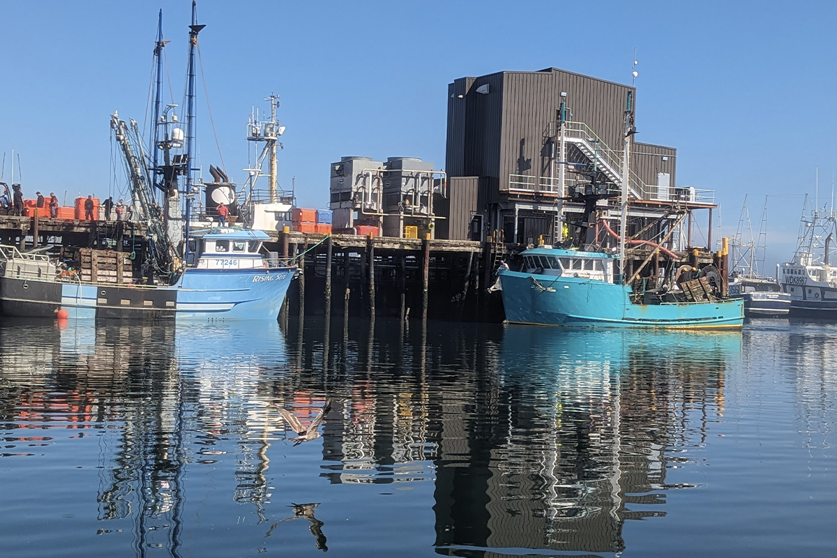 Cómo elegir la máquina de hielo en escamas adecuada para operaciones de pesca comercial
