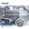 ICESTA IQF Línea de procesamiento Automic criogénico Durian Freeze Túnel Freezer para la industria de procesamiento de alimentos