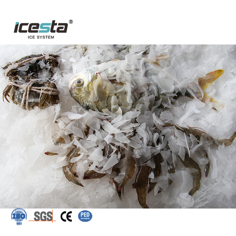 Máquina de hielo en escamas industrial comercial ICESTA China para barcos de pesca