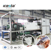 Máquina de hielo en placa automática de alta calidad ICESTA 30 Ton 304SS